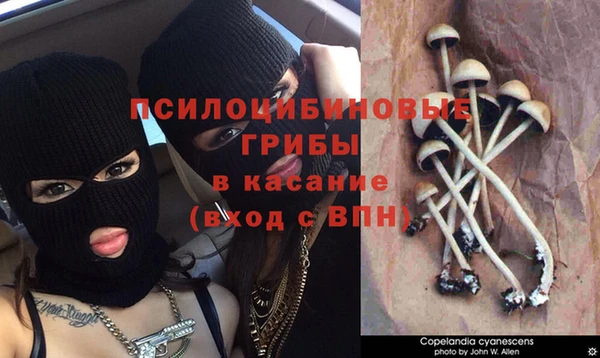дистиллят марихуана Никольское