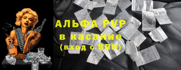 шишки Кострома