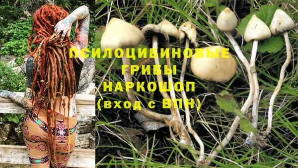 a pvp Заводоуковск